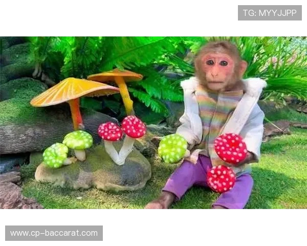 《创意采蘑菇游戏玩法与规则探索,带你体验全新趣味挑战》 《创意采蘑菇游戏玩法与规则探索,带你体验全新趣味挑战》